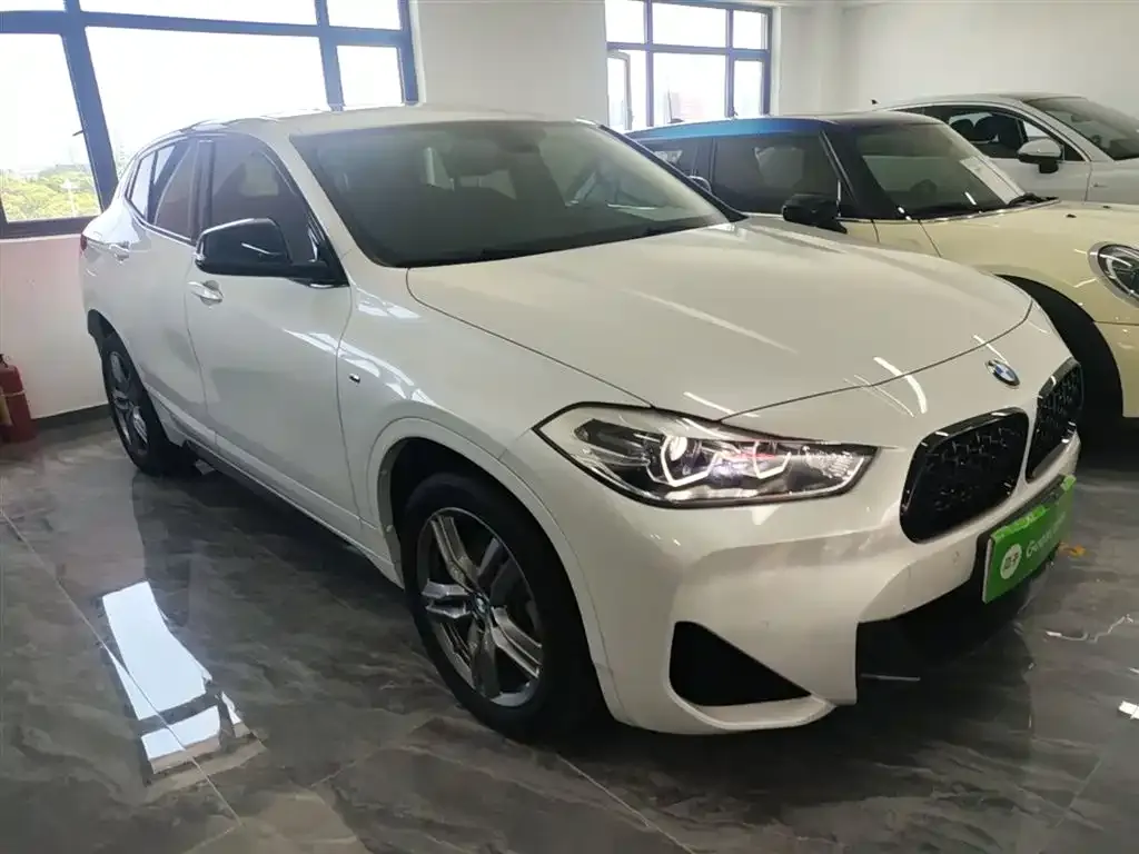 BMW X2 — фото 5