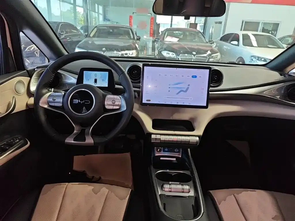 BYD Dolphin 2024 из CN, фото 4