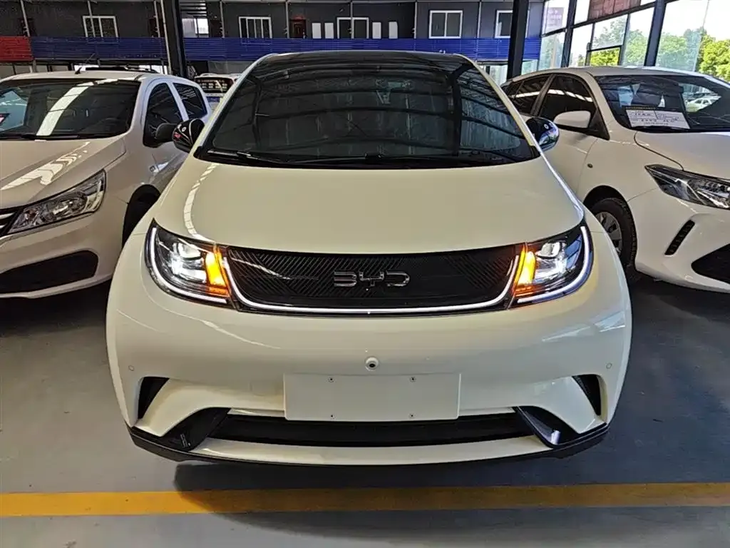 BYD Dolphin 2024 из CN, фото 9