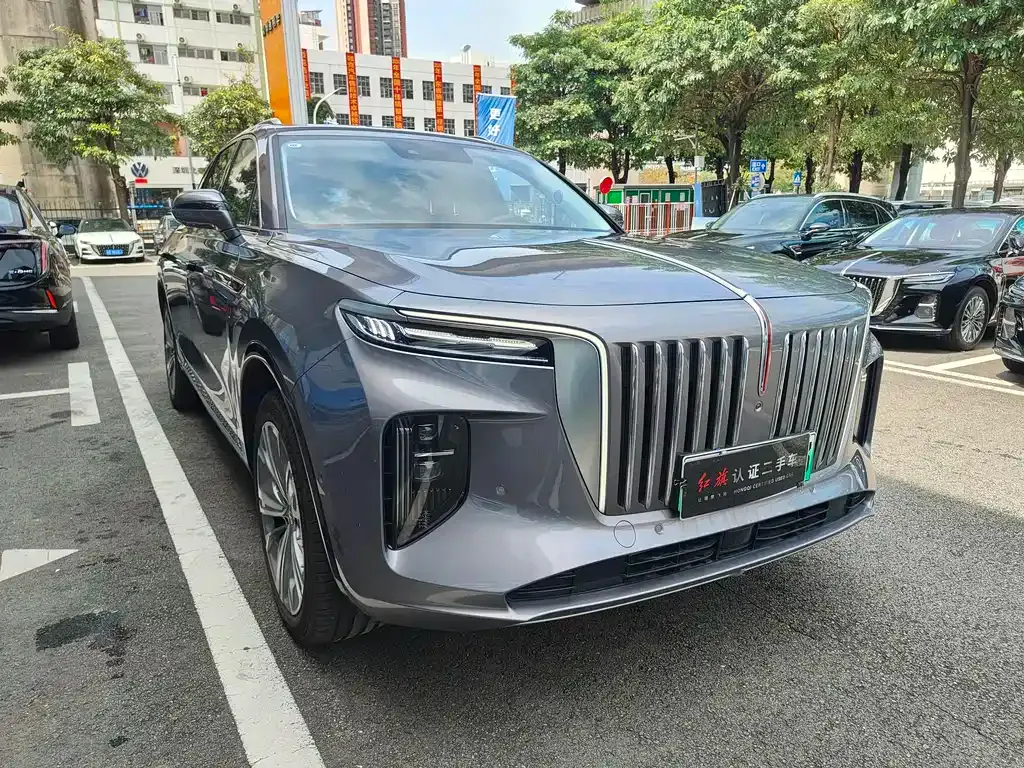 Hongqi E-HS9 — фото 10