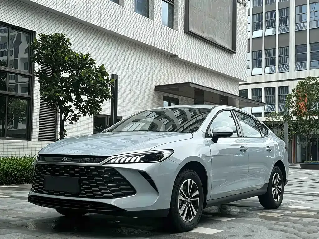 BYD Qin PLUS — фото 1