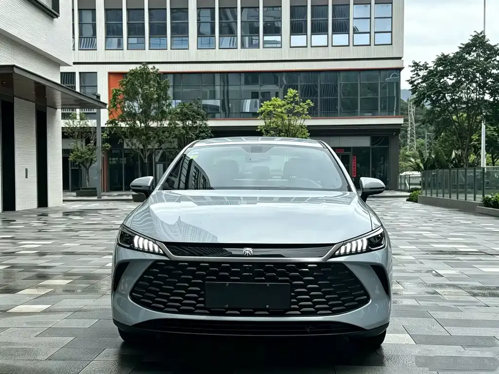 BYD Qin PLUS — фото 3
