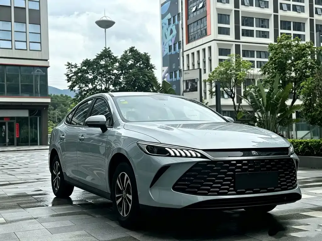 BYD Qin PLUS — фото 4