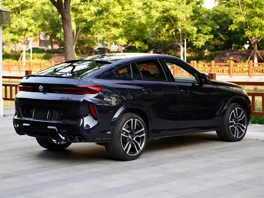 BMW X6 M 2022 из CN, фото 9