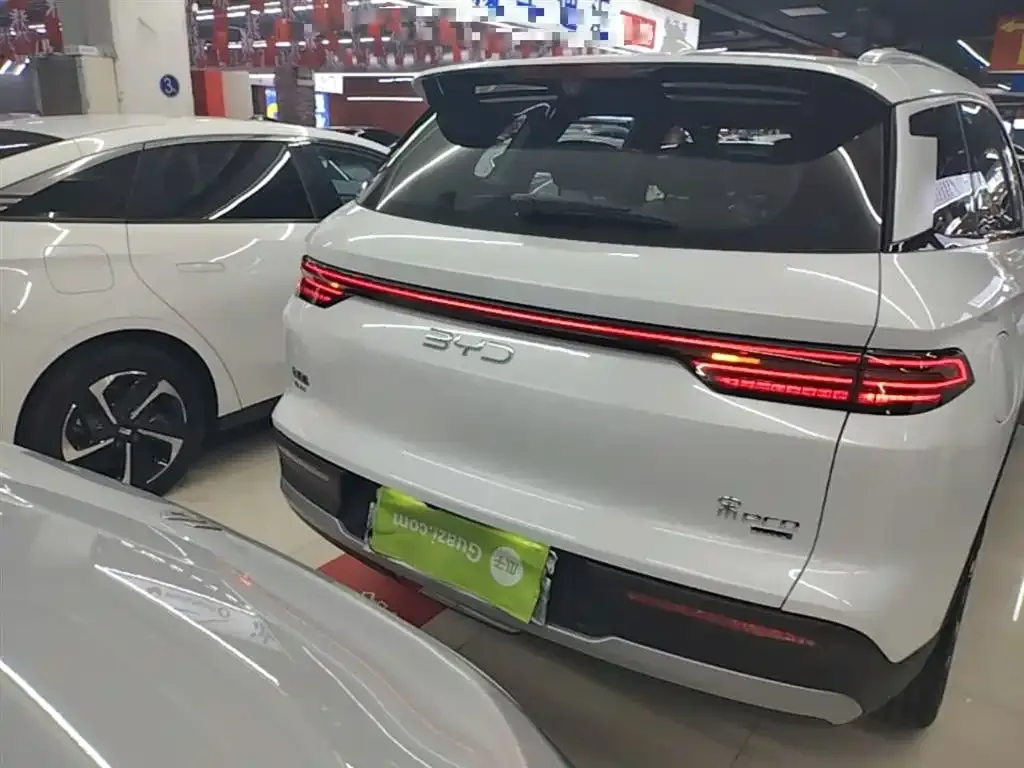 BYD Pro New Energy — фото 4
