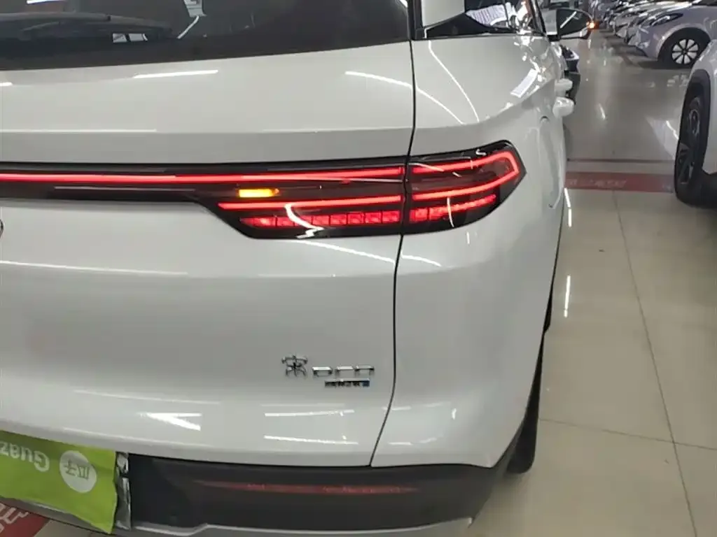 BYD Pro New Energy — фото 2