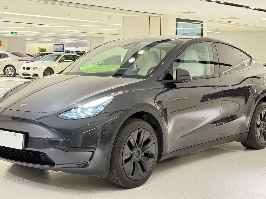 Tesla Model Y — фото 1