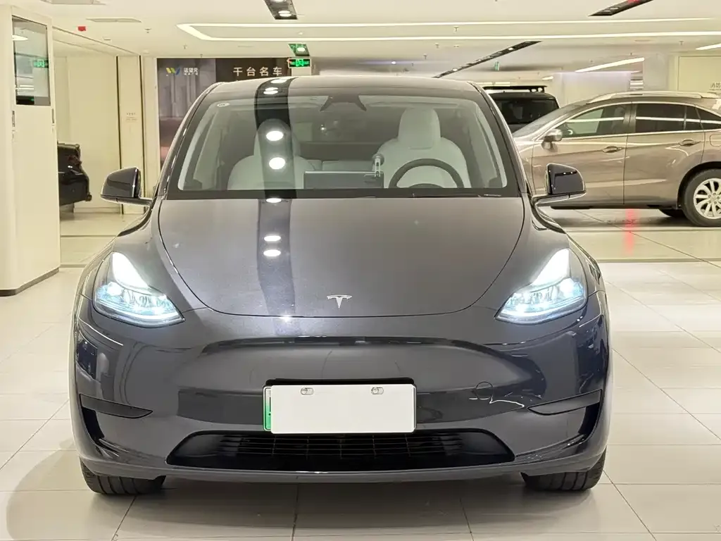 Tesla Model Y — фото 7