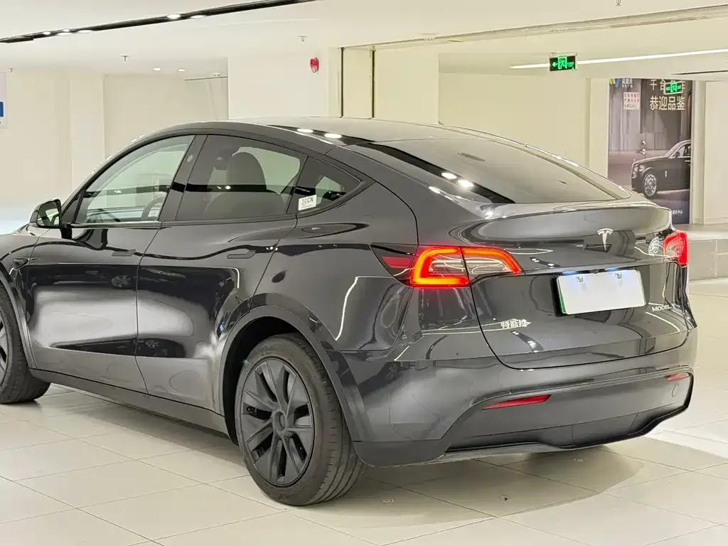 Tesla Model Y — фото 9