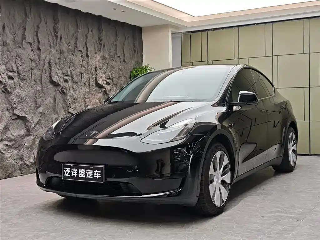 Tesla Model Y 2022 из CN, фото 1