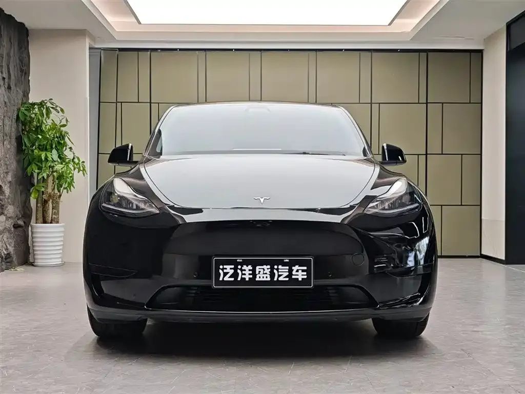 Tesla Model Y 2022 из CN, фото 4