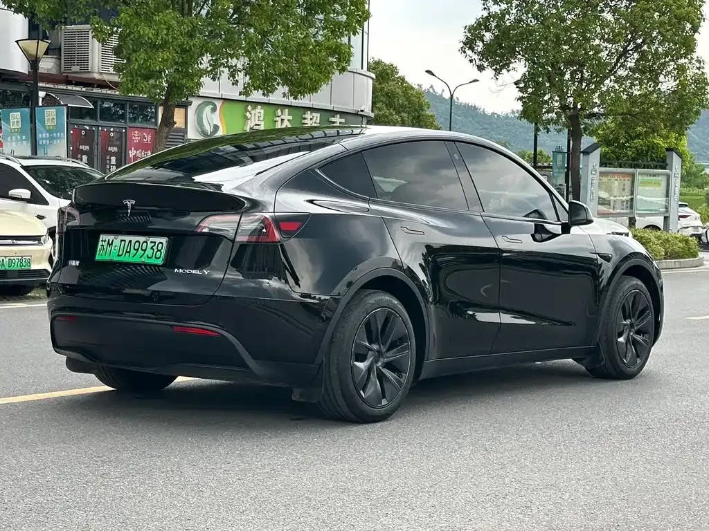 Tesla Model Y — фото 6