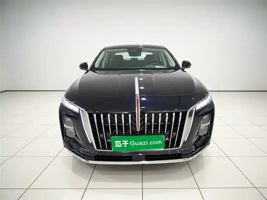 Hongqi H5 PHEV 2025 из CN, фото 4
