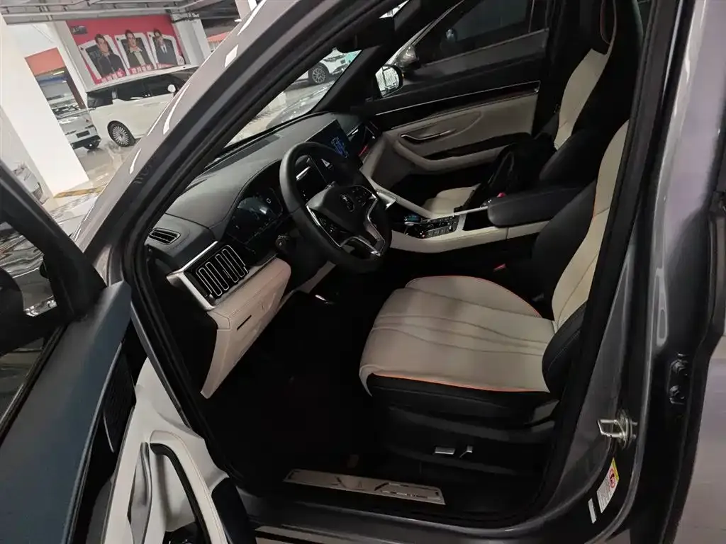 BYD PLUS New Energy — фото 10