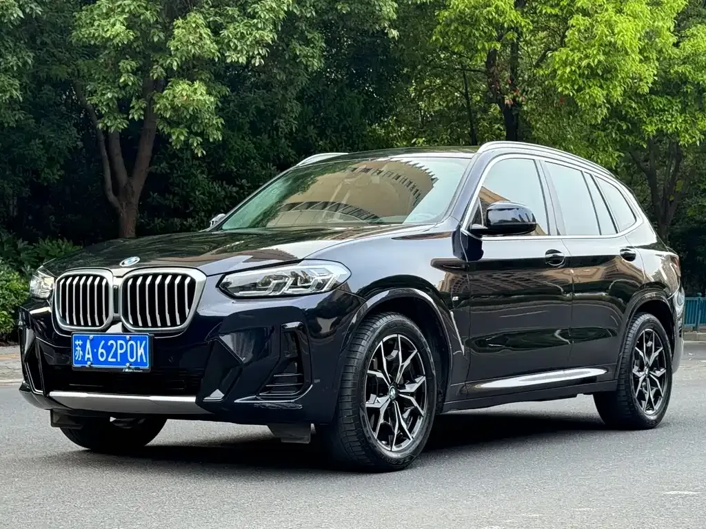 BMW X3 2022 из CN, фото 6