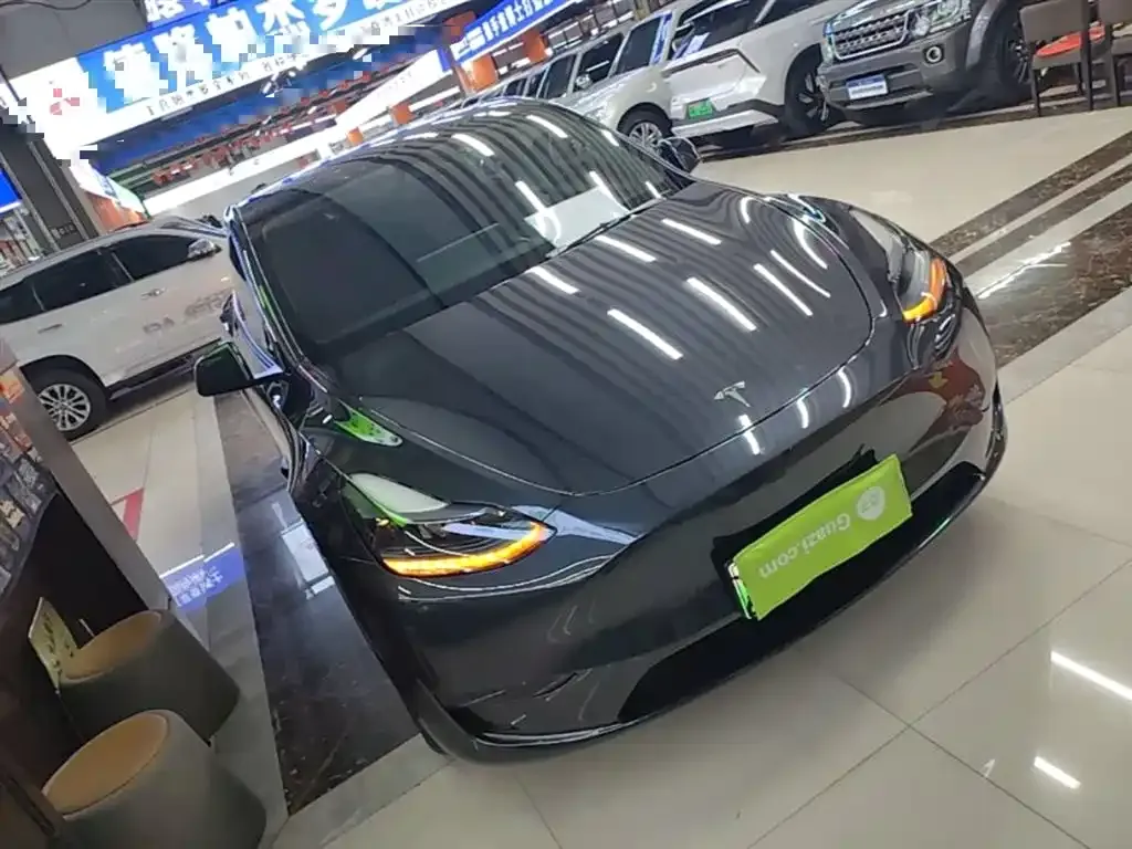 Tesla Model Y — фото 8