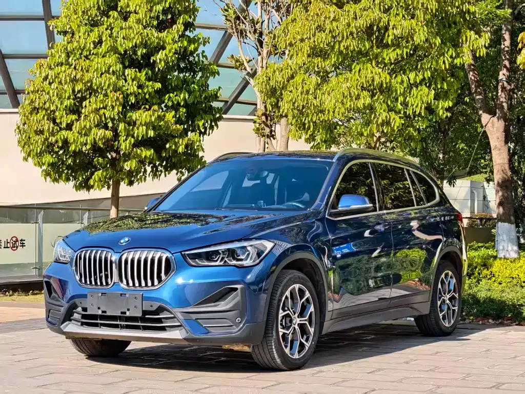 BMW X1 — фото 1
