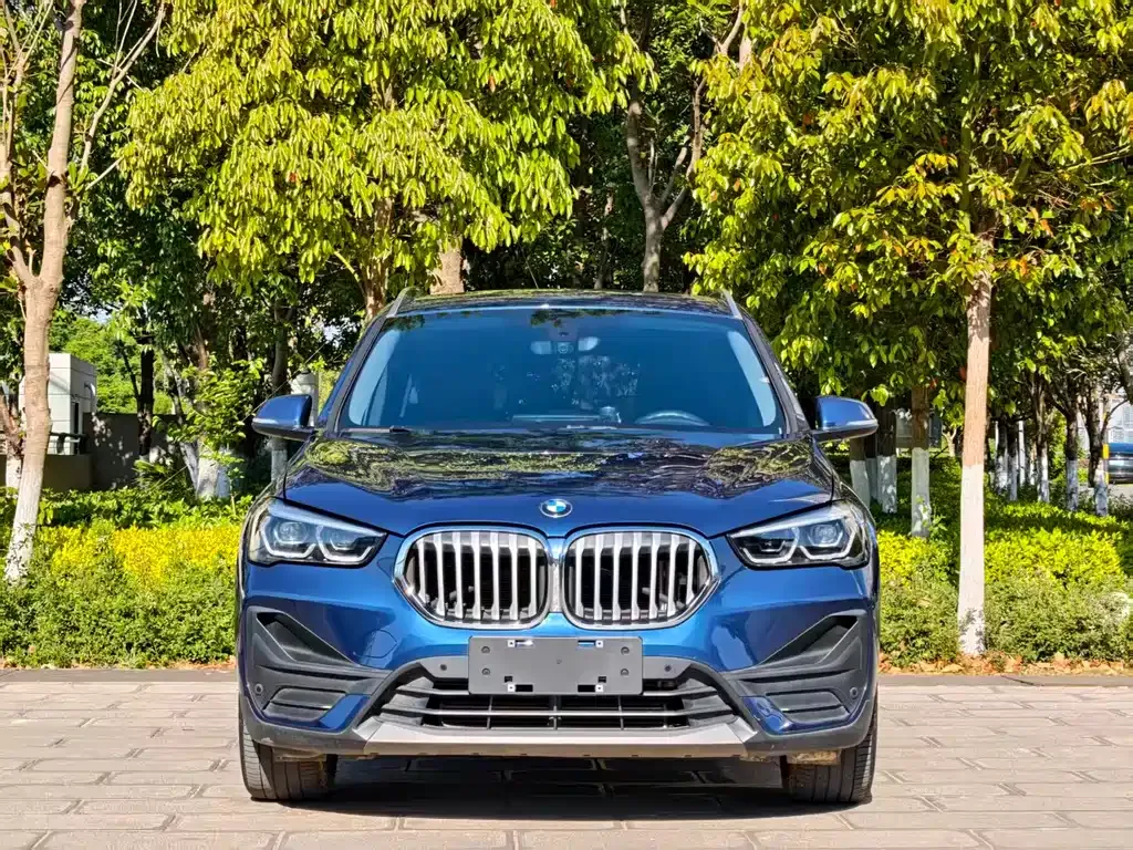 BMW X1 — фото 10