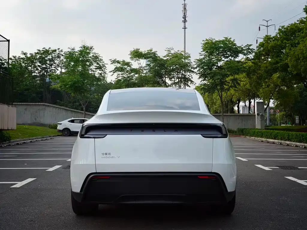 Tesla Model Y — фото 9