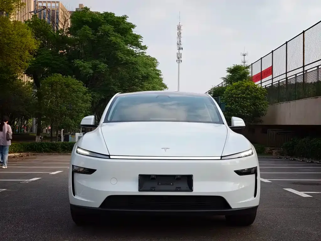 Tesla Model Y — фото 8