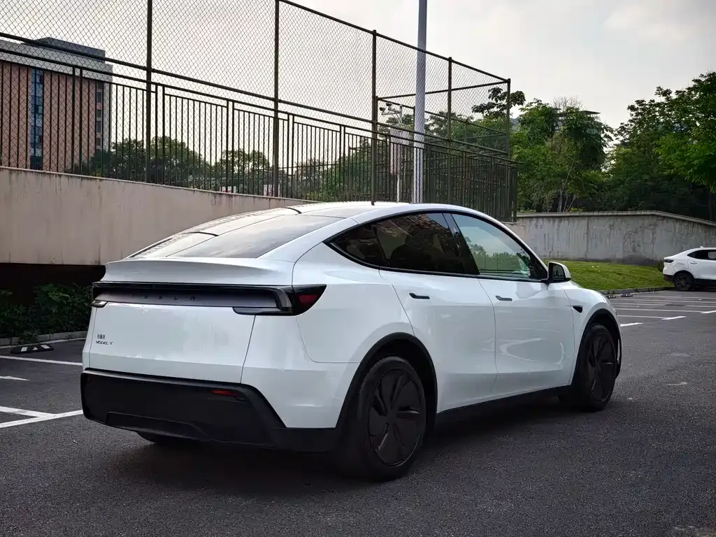 Tesla Model Y — фото 10