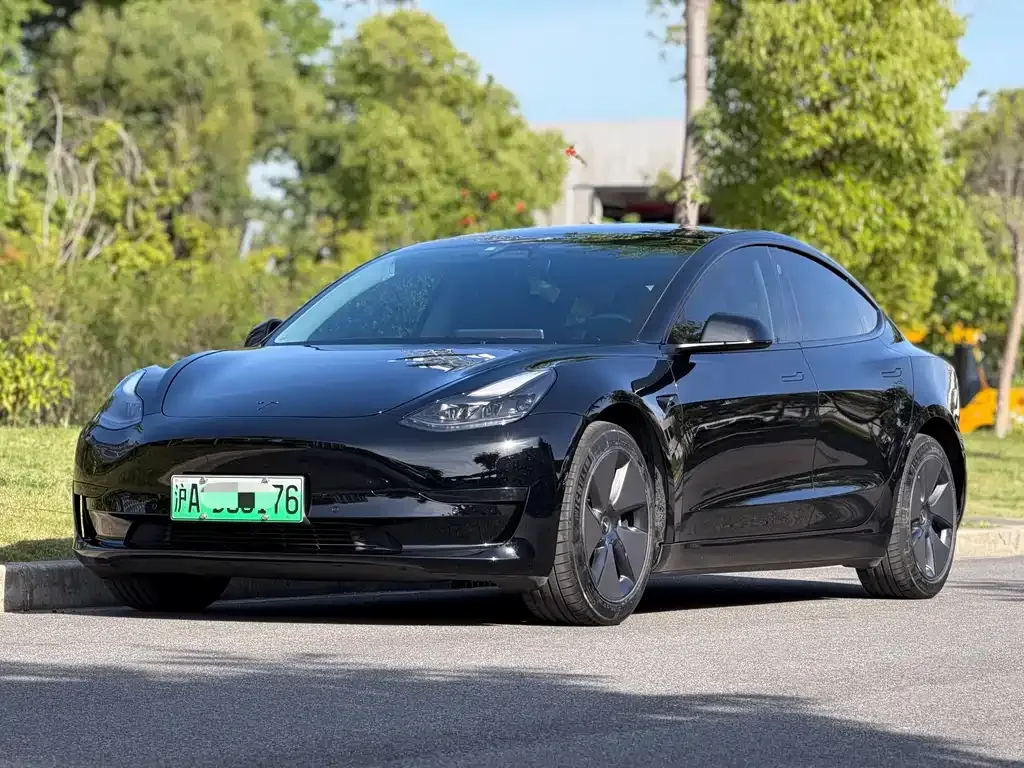 Tesla Model 3 2021 из CN, фото 1