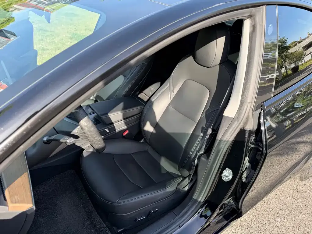 Tesla Model 3 2021 из CN, фото 6