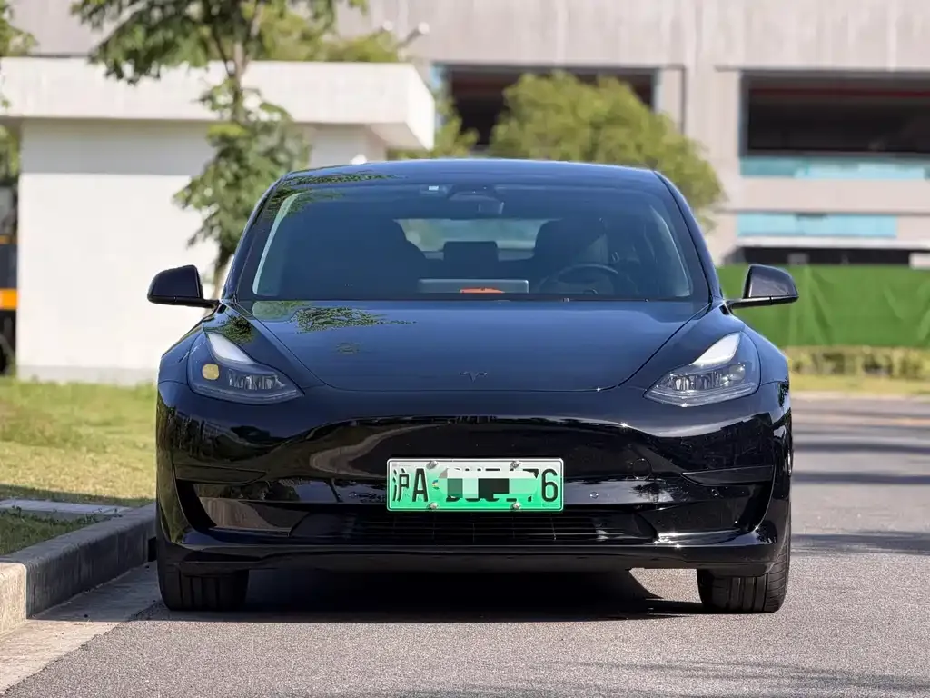 Tesla Model 3 2021 из CN, фото 5