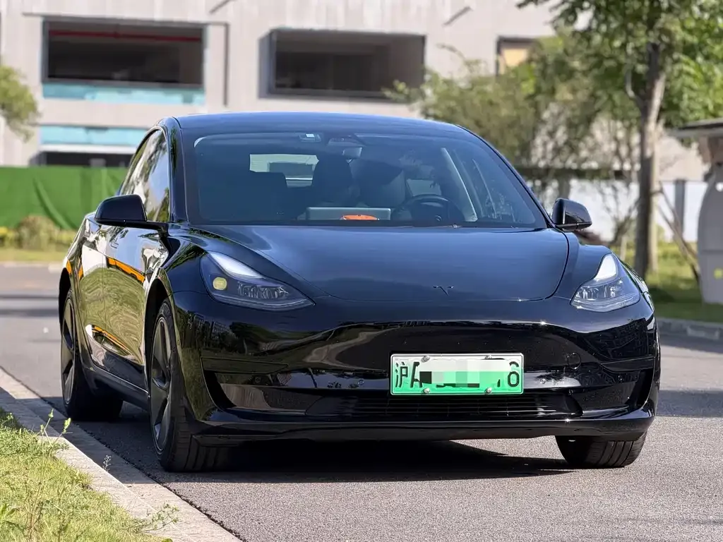 Tesla Model 3 2021 из CN, фото 3