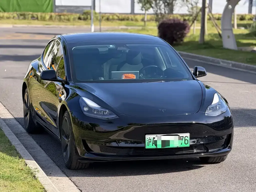 Tesla Model 3 2021 из CN, фото 9