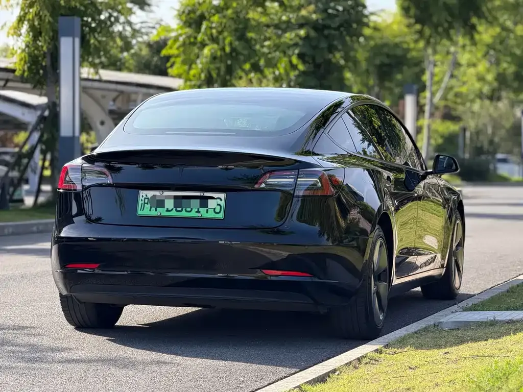 Tesla Model 3 2021 из CN, фото 7