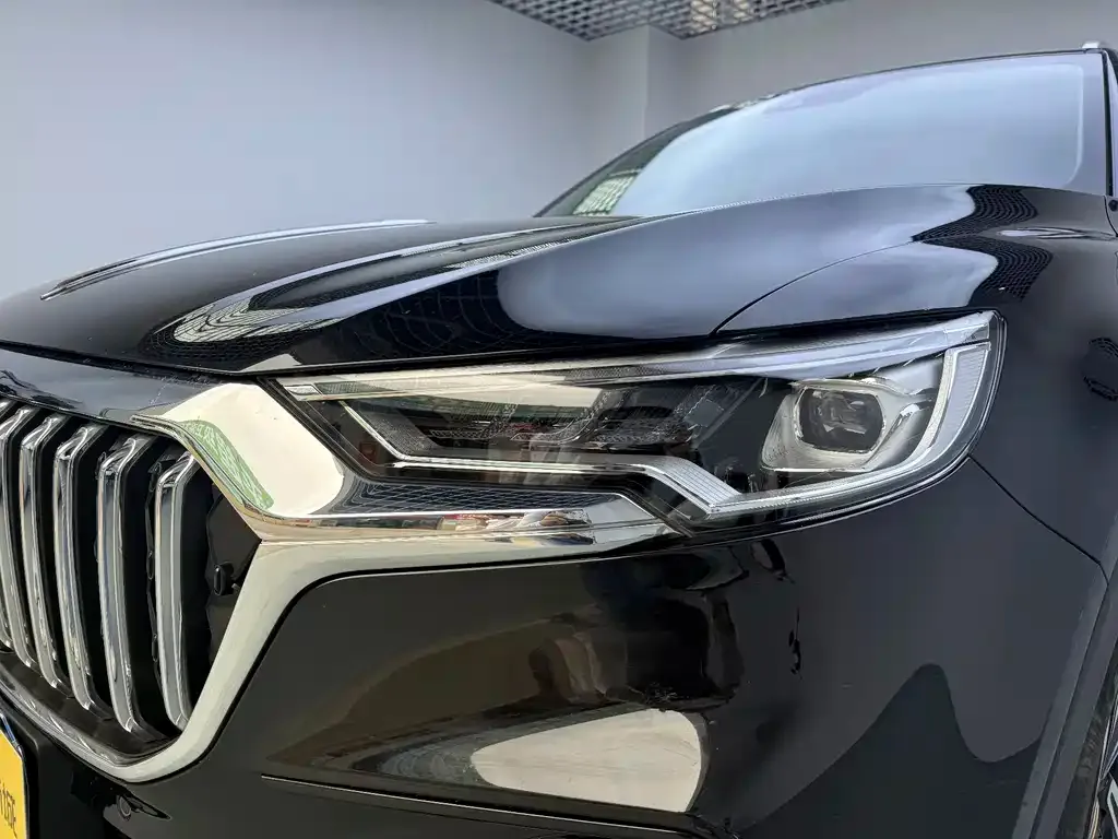 Hongqi HS5 2023 из CN, фото 9