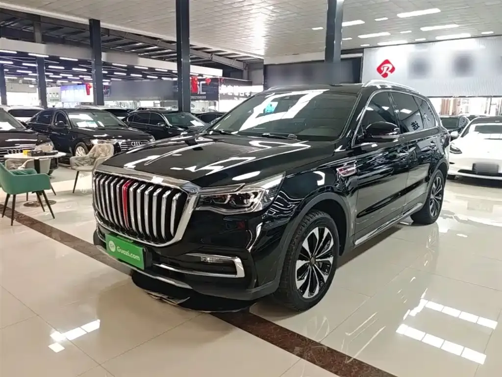 Hongqi HS7 2021 из CN, фото 10