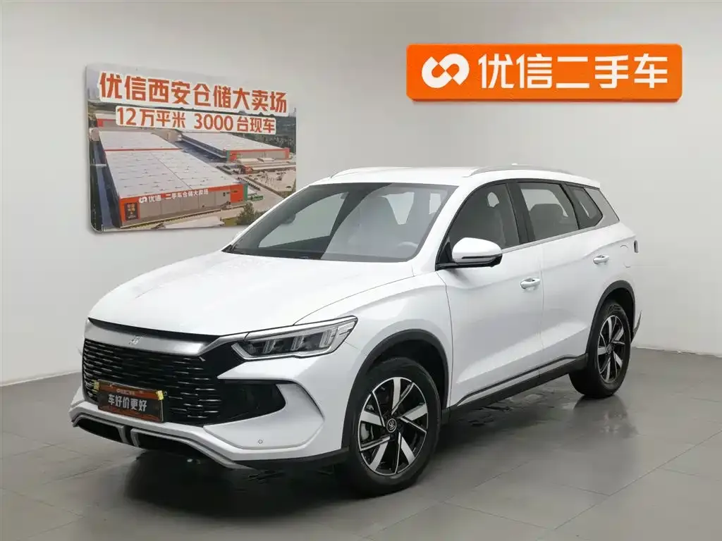 BYD Pro New Energy