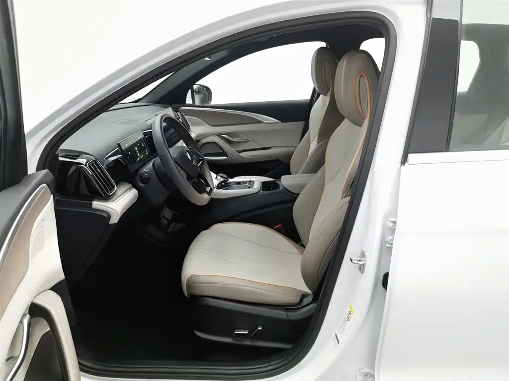 BYD Pro New Energy 2024 из CN, фото 8