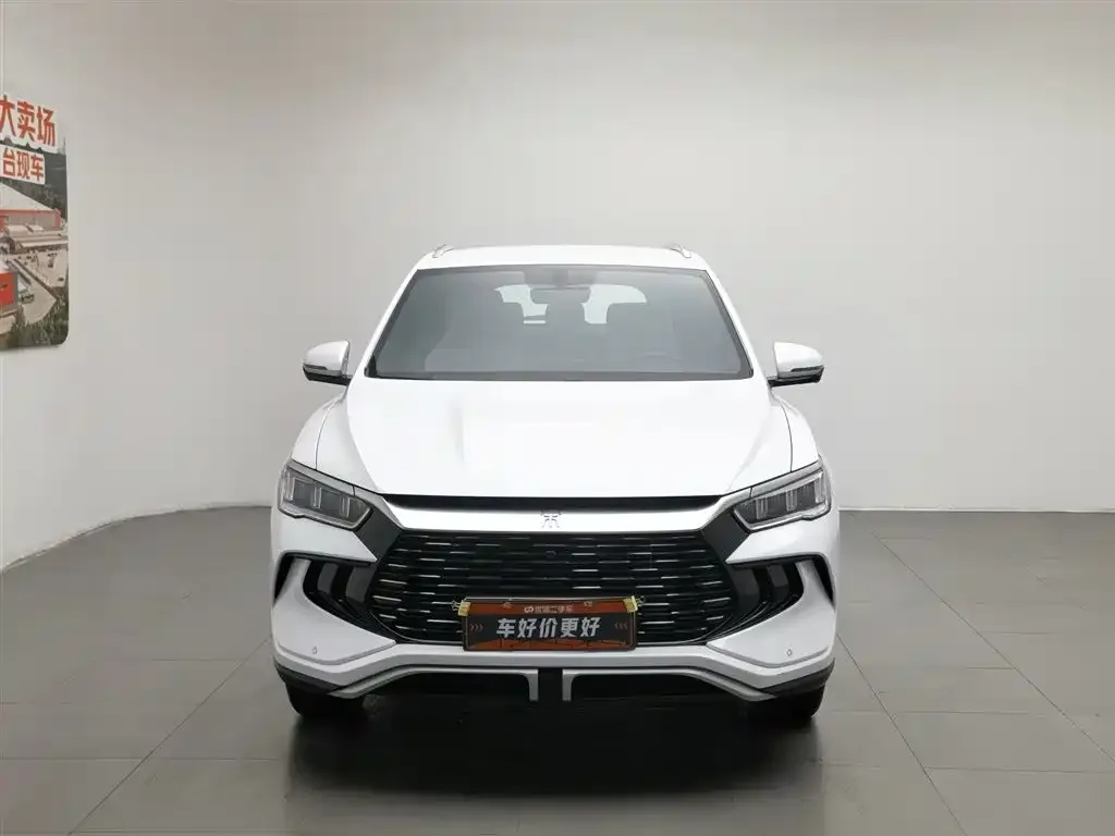 BYD Pro New Energy 2024 из CN, фото 2