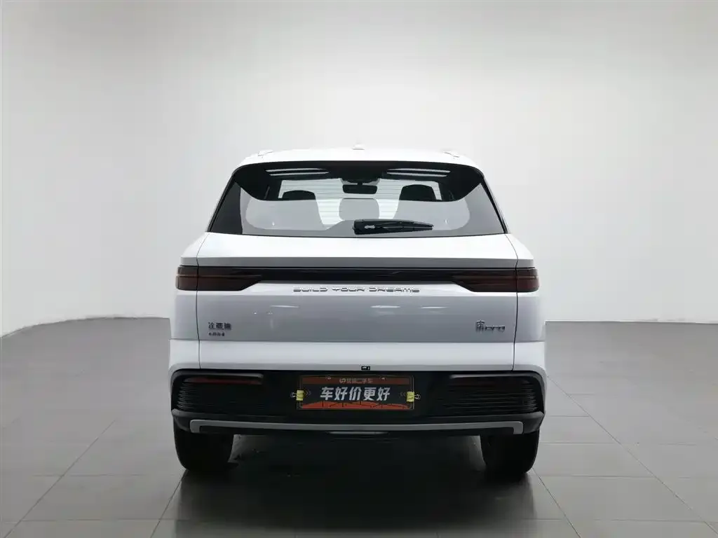 BYD Pro New Energy 2024 из CN, фото 5