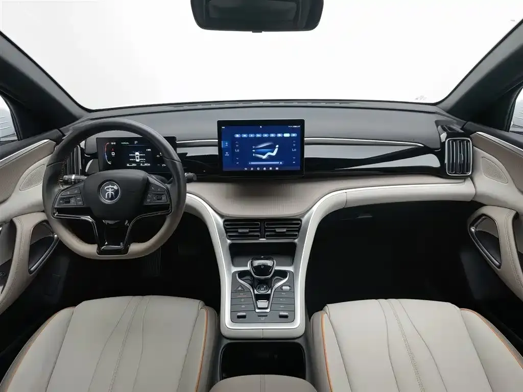 BYD Pro New Energy 2024 из CN, фото 9