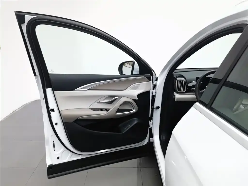 BYD Pro New Energy 2024 из CN, фото 6