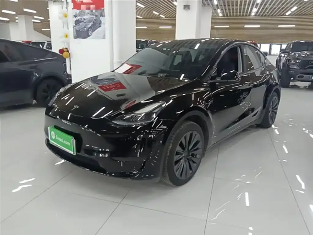 Tesla Model Y — фото 3