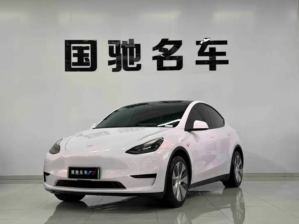 Tesla Model Y 2023 из CN, фото 1