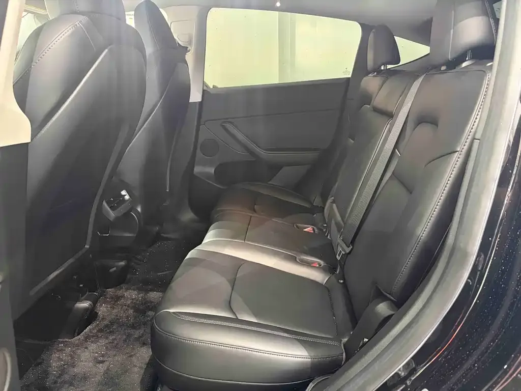 Tesla Model Y 2023 из CN, фото 6