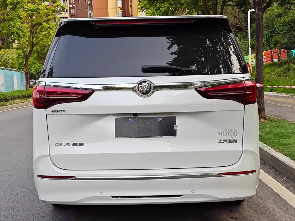 Buick GL8 2023 из CN, фото 8