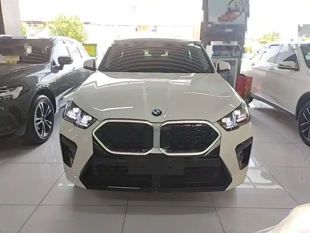BMW X2 (Import) 2025 из CN, фото 4