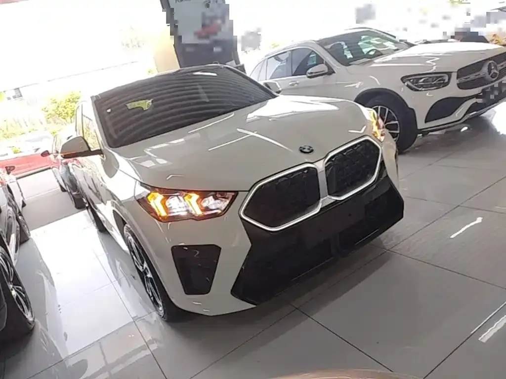 BMW X2 (Import) 2025 из CN, фото 8