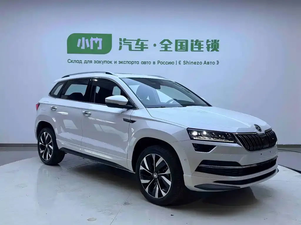 Skoda Karoq — фото 6