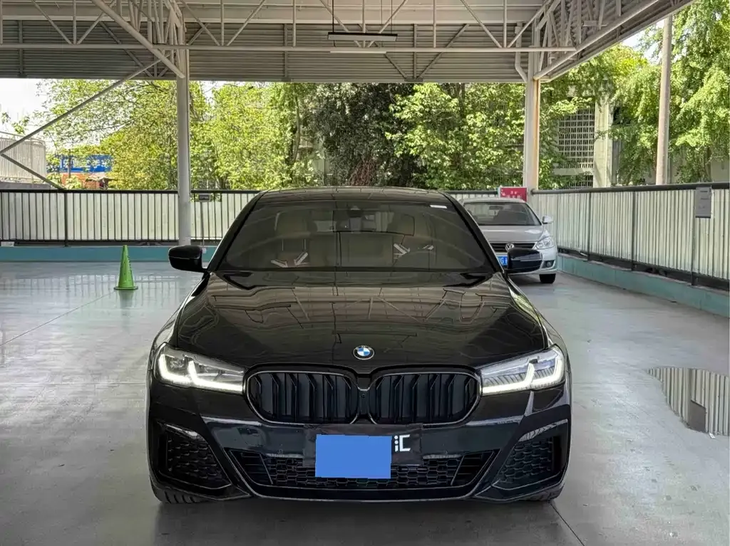 BMW 5 Series (Import) 2021 из CN, фото 8