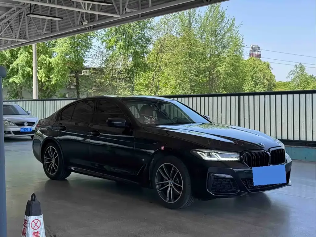 BMW 5 Series (Import) 2021 из CN, фото 3