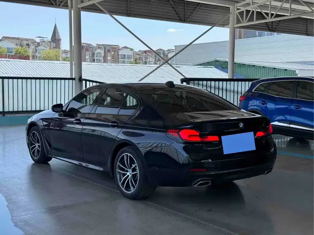 BMW 5 Series (Import) 2021 из CN, фото 4