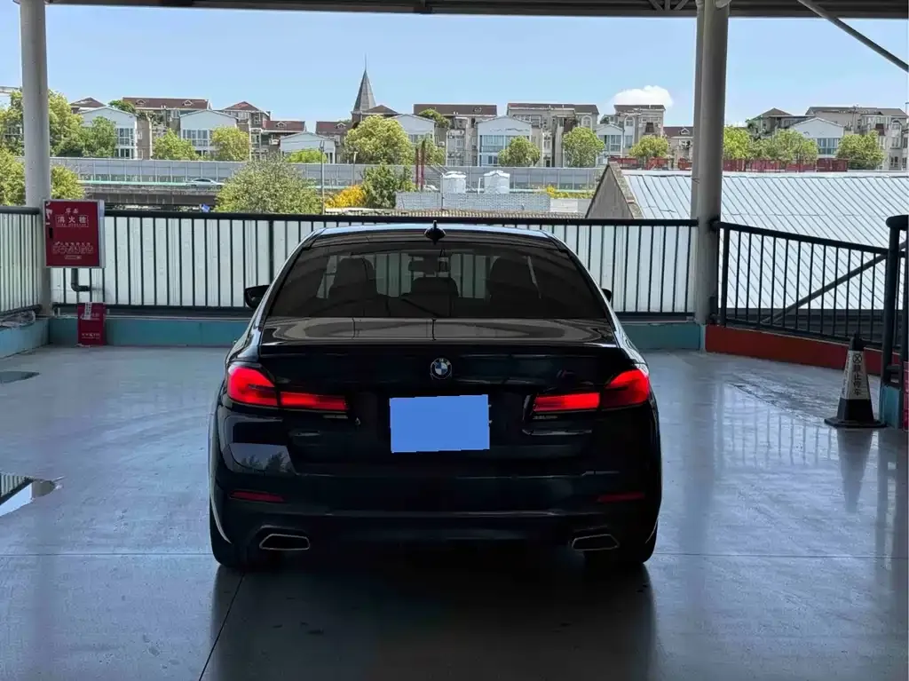 BMW 5 Series (Import) 2021 из CN, фото 2